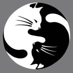 Mandala chat pour apprendre à dessiner à Rezé et Nantes